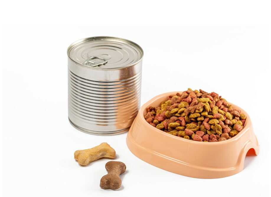 You need to store the dry food properly