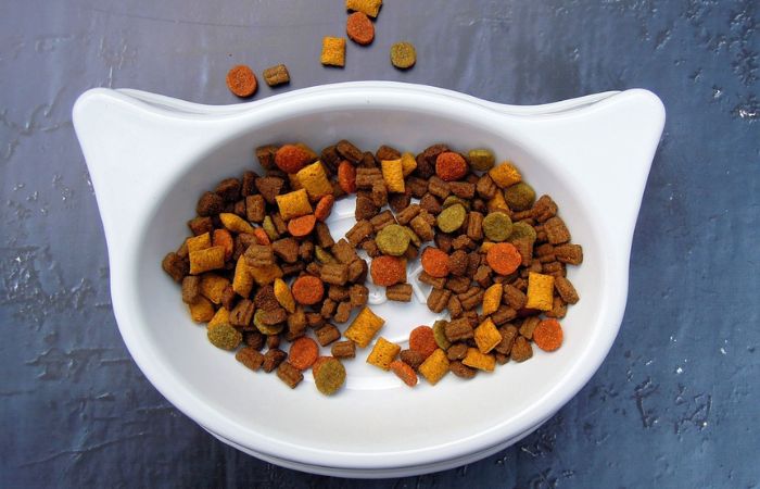 A bowl of dried cat food