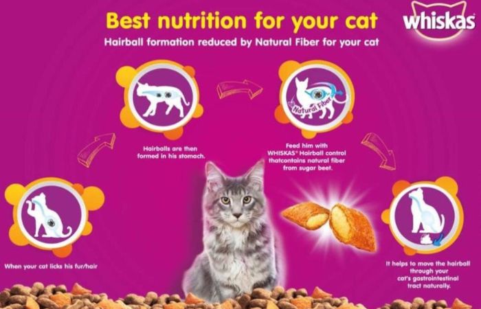 Whiskas Pate For Cats