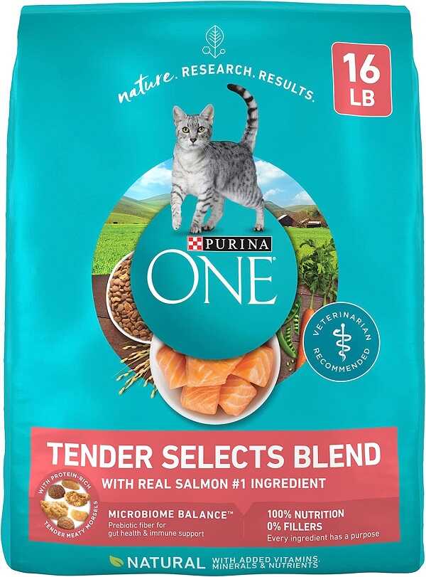 Purina ONE Natural Cat Food