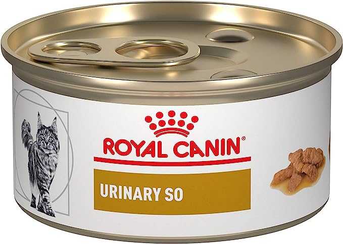 Royal Canin Cat Food