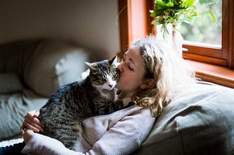 The Connection Between Cats and Human Emotions