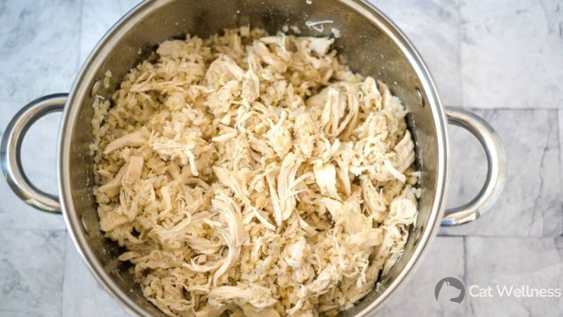Bland Chicken and Rice Recipe