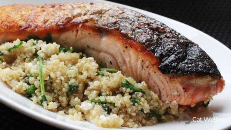 Salmon and Quinoa Delicacy