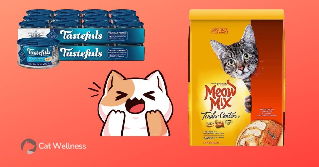 Top 10 Best Soft Dry Food For Cats With No Teeth