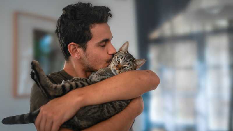 Tips for Kissing Your Cat