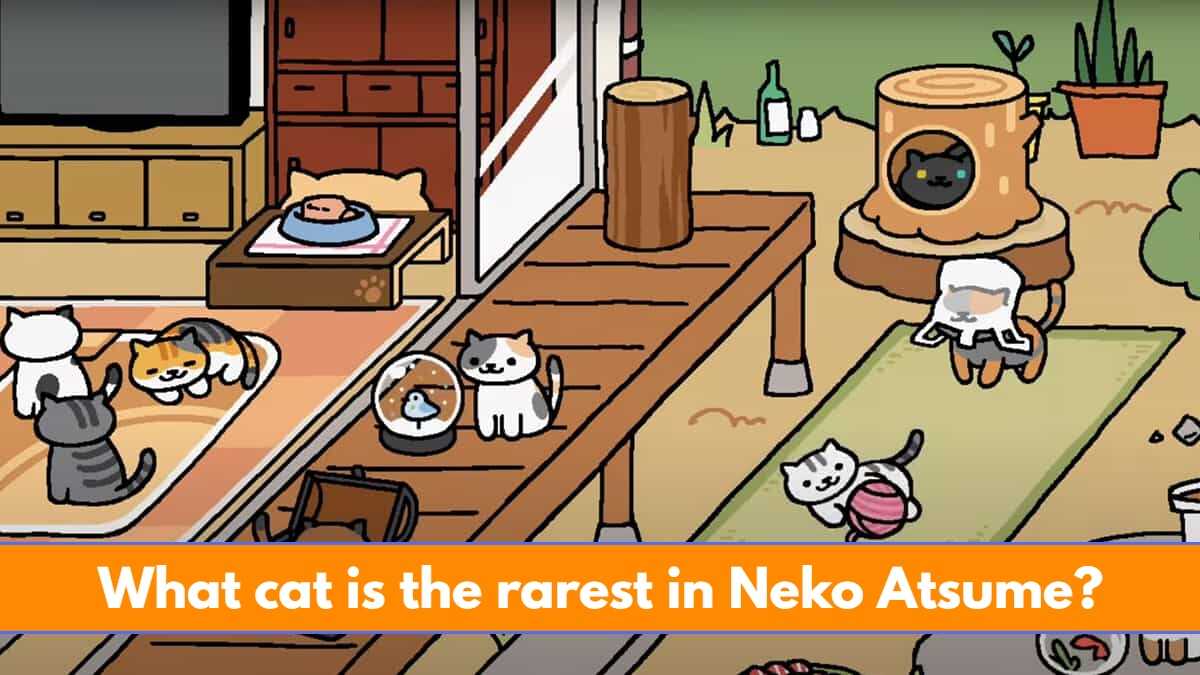 What Cat is the Rarest in Neko Atsume