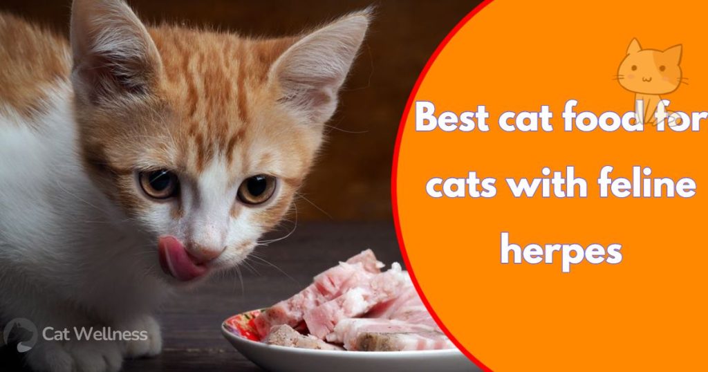 Best Cat Food for cats with Feline Herpes