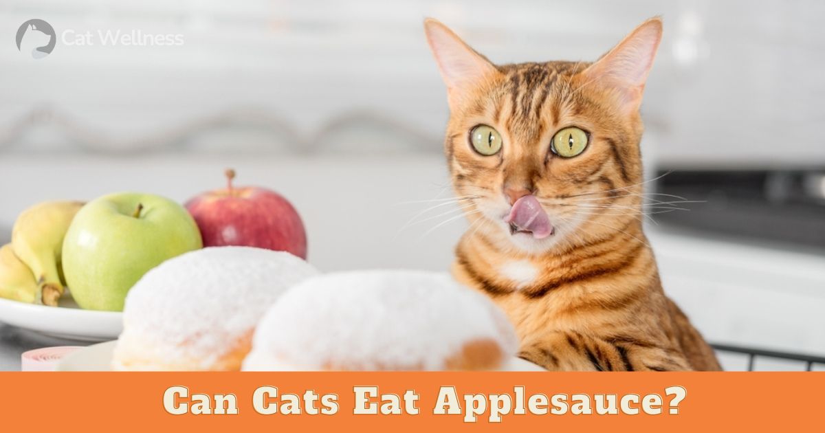 Can Cats Eat Applesauce
