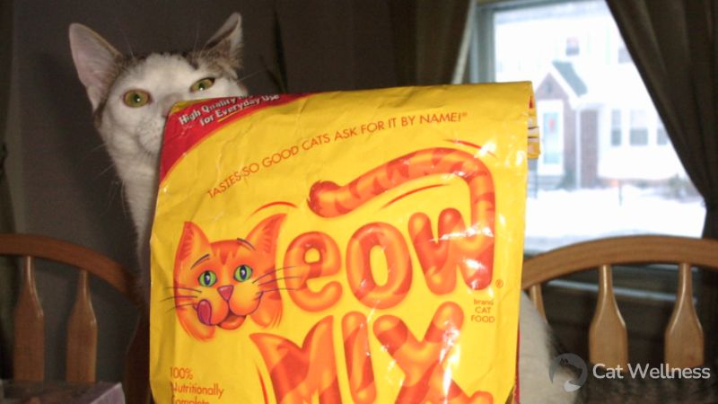 Overview about Meow Mix