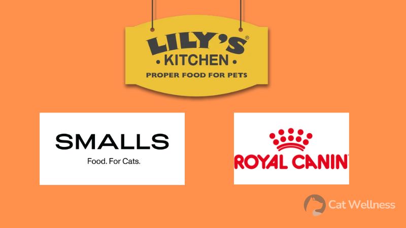 Top Cat Food Brands You Can Trust