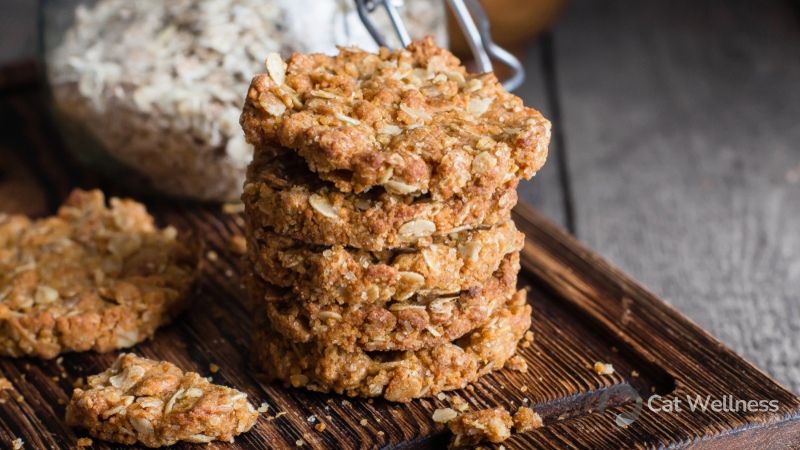 Are oatmeal cookies suitable for cats?