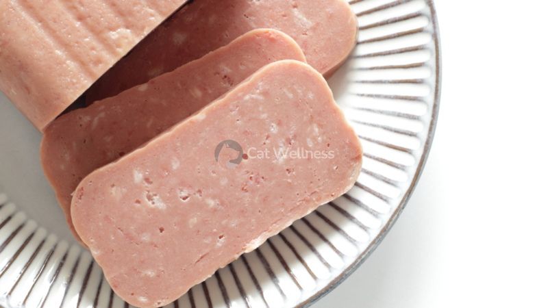 About spam meat