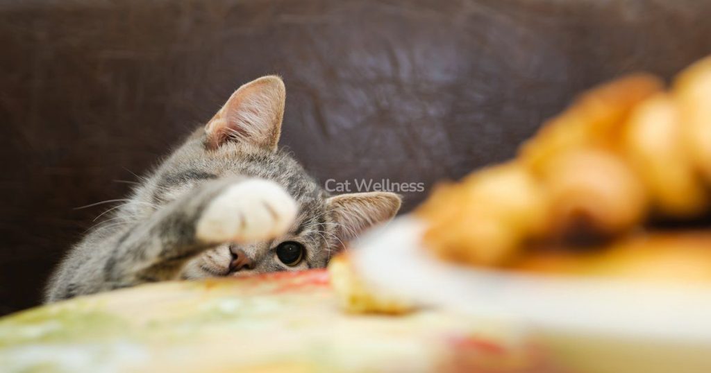 Can Cats Eat Chicken Nuggets